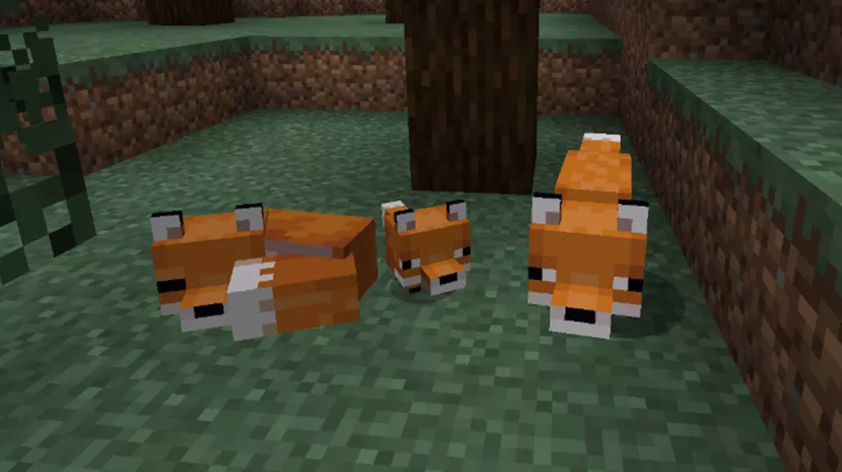 Cómo tamear a un zorro en Minecraft y hacer un nuevo amigo